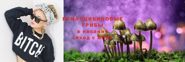 PSILOCYBIN Арсеньев