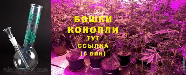 PSILOCYBIN Арсеньев